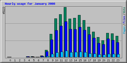 Hourly usage for January 2008